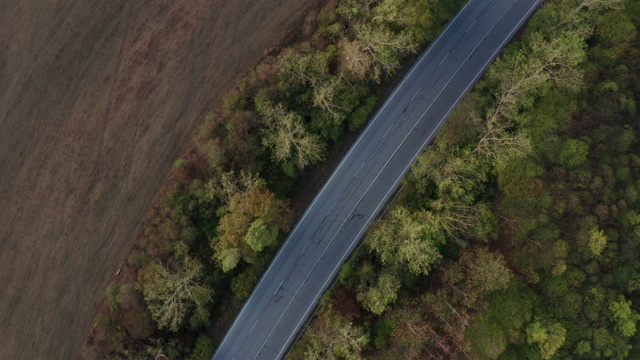 顶视图与秋天的森林，空的道路没有汽车视频下载
