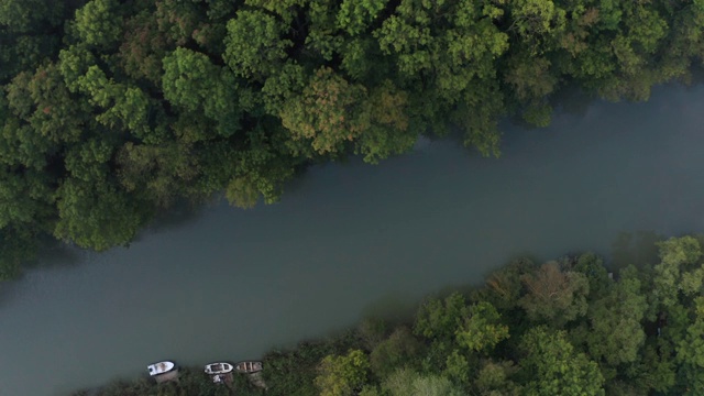 顶视图与绿色的森林和一条河流通过它视频下载