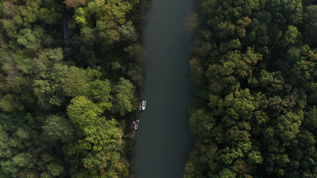 顶视图与绿色的森林和一条河流通过它视频下载