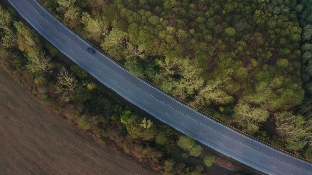 顶视图与道路和汽车的秋天森林视频下载