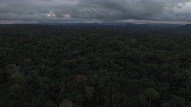 无人机拍摄的巴西森林视频下载