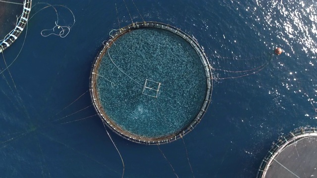 航拍直接在西班牙兰萨罗特的一个圆形渔场上方视频下载
