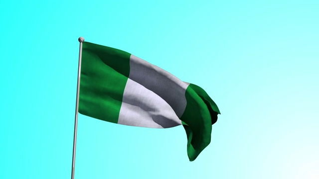尼日利亚国旗。包括α镜头。视频下载