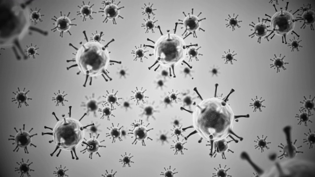 3D渲染动画，细菌或病毒covid-19，细胞在人体背景下随机移动和旋转，致病细胞概念，黑色和白色视频素材