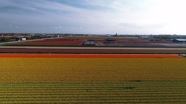 空中跟踪拍摄横跨荷兰的风景在春天，荷兰视频下载