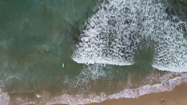 澳大利亚冲浪者在悉尼海滩视频素材
