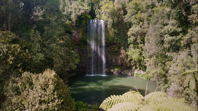 鸟瞰图米拉瀑布凯恩斯昆士兰州-无人机4K剪辑视频素材