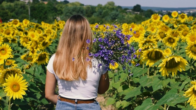 美丽的年轻女孩在一片盛开的向日葵的中央，拿着一束蓝色的野花。视频素材
