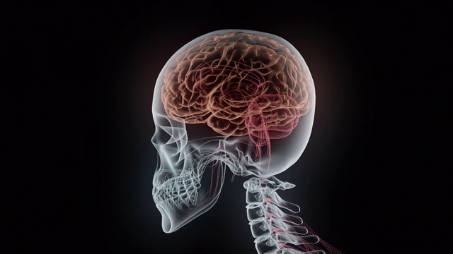 人类颅骨x射线图像孤立在黑色背景视频素材