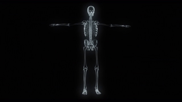 x射线人体骨骼模型视频素材