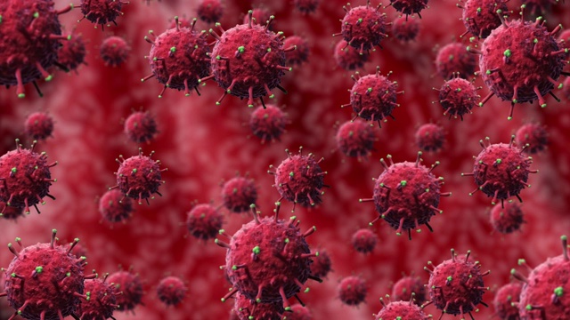 红色细菌或COVID-19病毒，细胞随机移动和旋转，对人体器官的红色背景，隔离视频素材