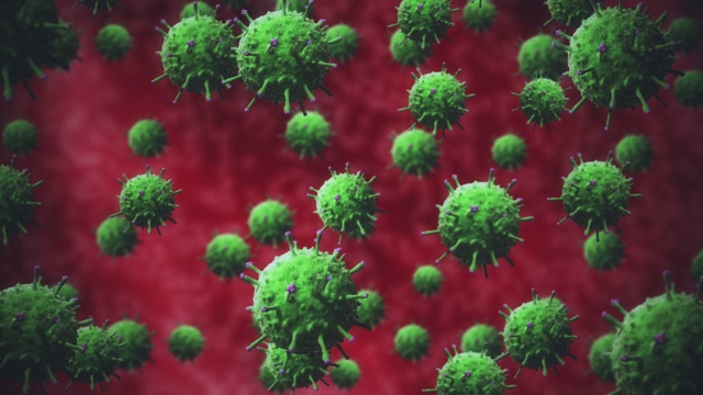 绿色细菌或COVID-19病毒，细胞在人体器官红色背景下随机移动和旋转视频素材