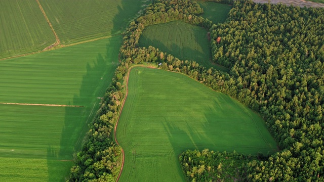空中俯瞰加拿大蒙特利尔附近的绿色乡村视频下载