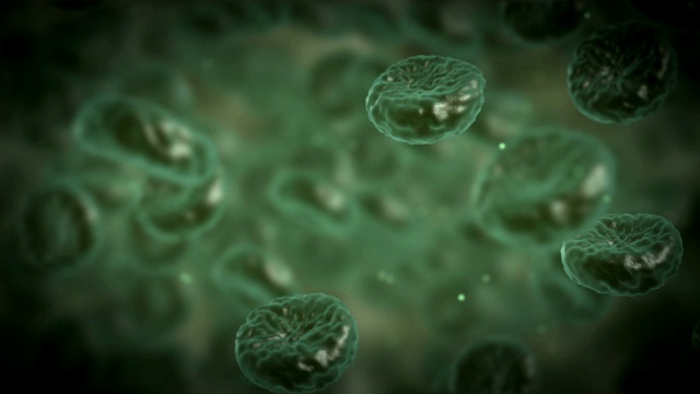 绿色疾病血细胞在血管或动脉中流动。3d渲染高清镜头。视频下载