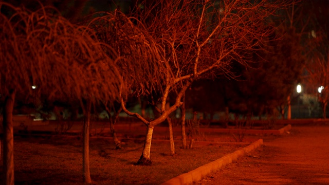 晚上空旷的公园小路，秋天黑暗的人行道上有长凳视频素材