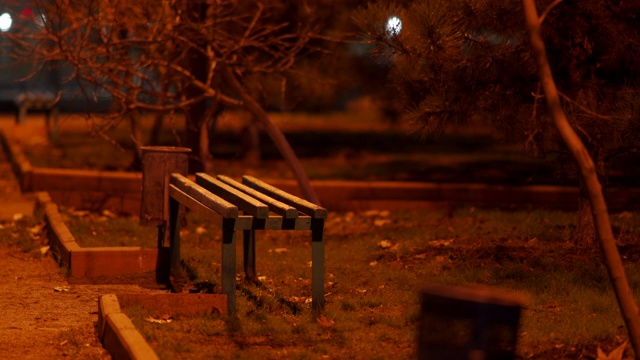 晚上空旷的公园小路，秋天黑暗的人行道上有长凳视频素材