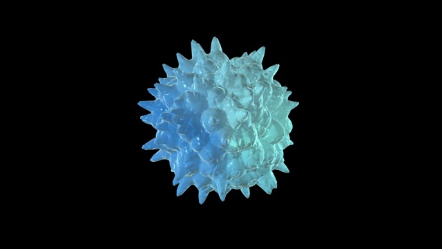 病毒模型在黑色背景上旋转。计算机生成的球形物体。3 d渲染。阿尔法通道。视频下载