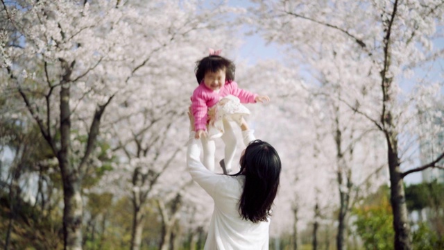 妈妈和小女孩在樱花树下玩耍视频下载