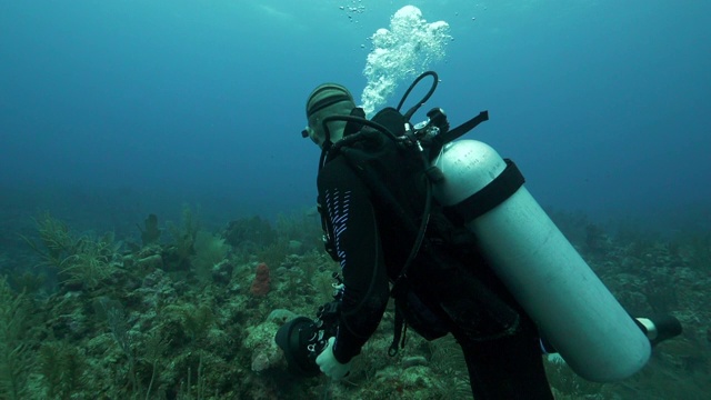 在伯利兹的伯利兹城，一名男子在深海探险时用相机拍摄的慢动作视频下载