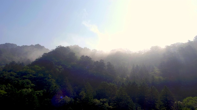 阳光照耀下的野田山/江原道，韩国视频素材
