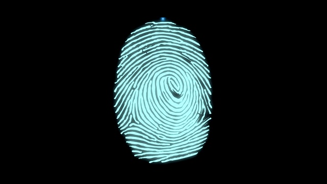 动画指纹黑色。触摸ID未来数字处理生物识别扫描器的概念和安全扫描的手指。网络手机解锁应用程序。视频素材