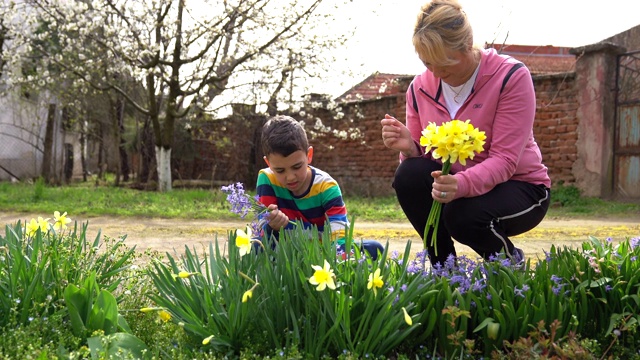 母亲和孩子们在采摘五颜六色的漂亮花朵视频下载