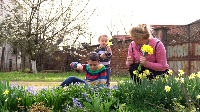 母亲和孩子们在采摘五颜六色的漂亮花朵视频下载