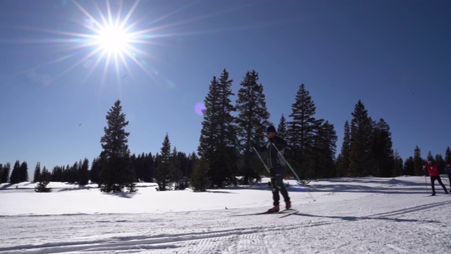 在经典的越野滑雪风格中四人一组的滑雪者视频下载