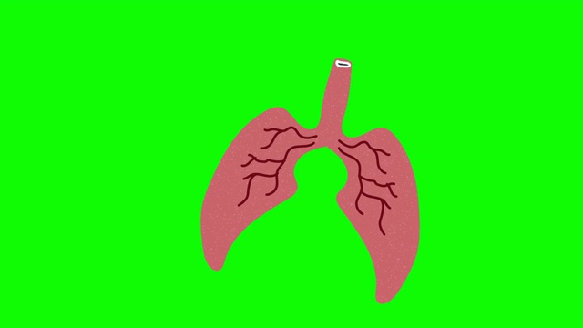 肺手绘绿屏。浮动循环动画视频下载