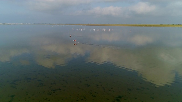 空中摇摄的腓凤蝶科涉水过湖对天空，无人机向前飞行在阳光明媚的一天反射的云-卡玛格，法国视频素材
