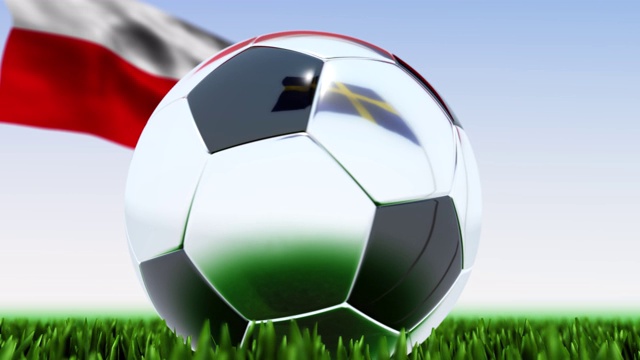 循环足球瑞典对捷克共和国视频素材