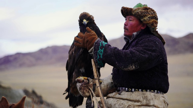 蒙古沙漠中骑着马的猎鹰人的肖像视频素材