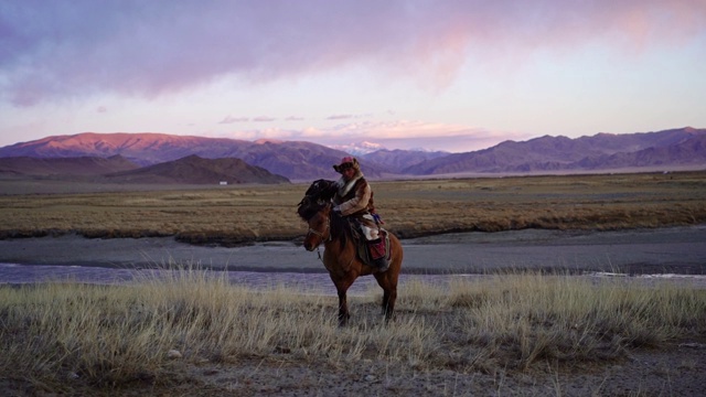 蒙古沙漠中骑着马的猎鹰者视频素材