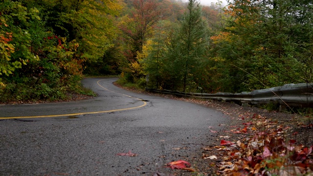 在乡间小路上的皮卡与秋天的颜色和树木视频素材