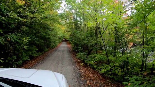 在乡间小路上的皮卡与秋天的颜色和树木视频素材