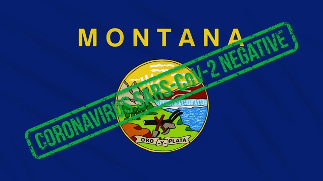 美国蒙大拿州摇摆的旗帜上印有从冠状病毒中自由的绿色印章，循环视频素材