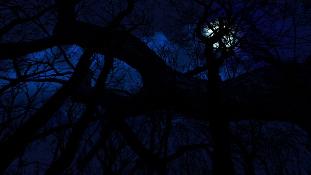 在深蓝色的夜空中，满月穿过云层升起视频素材