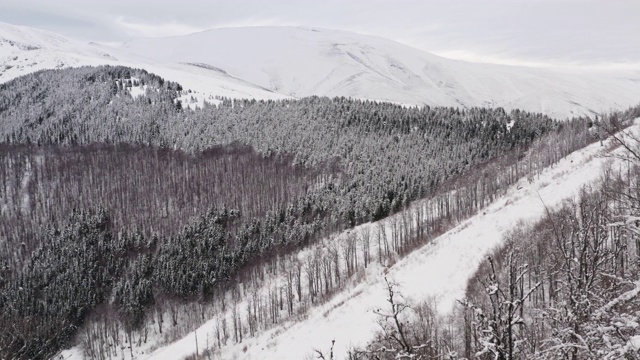 冬天登山者在山顶上欣赏风景。股票视频…视频素材