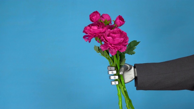 西装革履，手捧玫瑰花的机器人商人。灰色的机械手拿着一束花，特写在一个蓝色的背景。视频下载