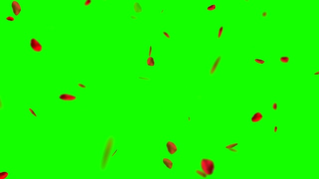 红玫瑰花瓣在色度键上飞舞，绿屏幕背景，爱情和情人节视频素材