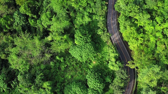 空中或无人机拍摄的森林中当地道路的4k镜头。交通和旅行的概念。视频下载