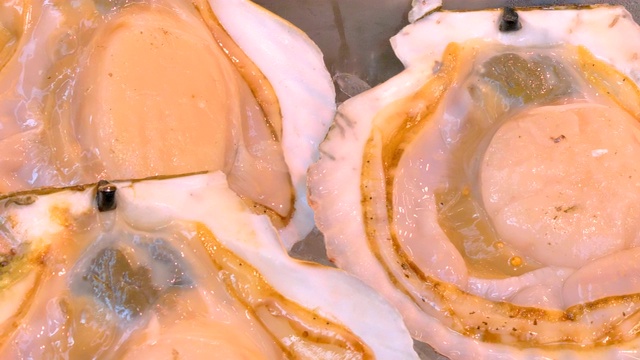 筑地鱼市贝壳上的大蛤蜊视频素材