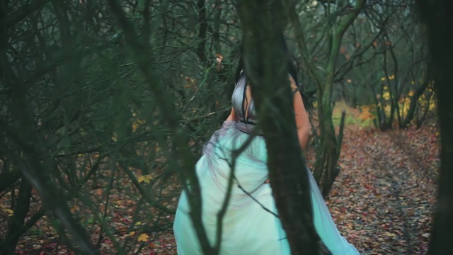 奢华神秘的女人穿着蓝色蓬松的裙子，走着，性感地看着镜头。透过光秃秃的秋日黑树的剪影拍摄。长长的黑发，手里拿着薄纱面料的裙子视频素材