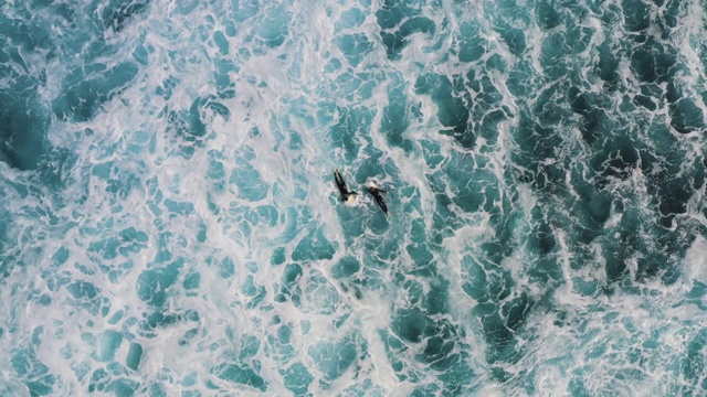 西班牙兰萨罗特，两名冲浪者正在海浪中等待视频素材