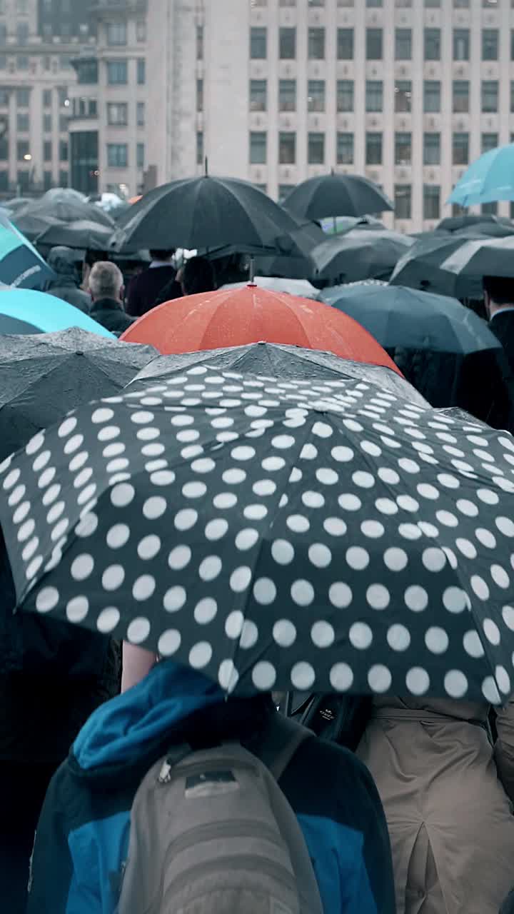 在雨中打着雨伞的乘客。垂直视频格式。SM。视频素材