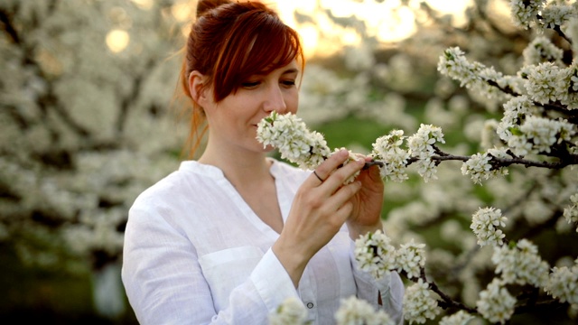 美丽的女人在盛开的花在夕阳视频下载