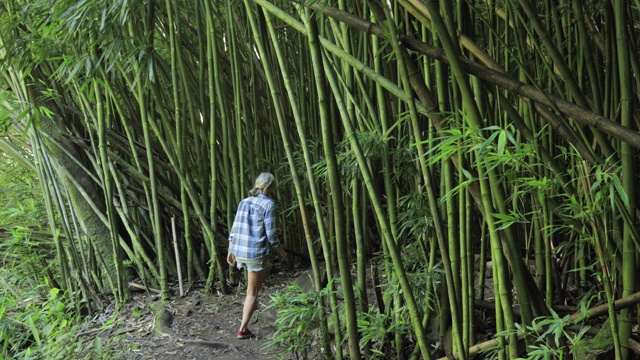在夏威夷毛伊岛的竹林里徒步旅行。视频素材