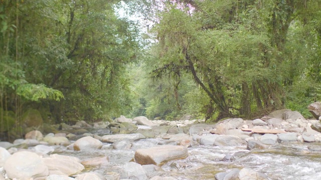 哥伦比亚玛格达莱纳的佩尔迪达城(失落的城市)，著名的旅游泰罗纳公园的植被中间的河流视频素材