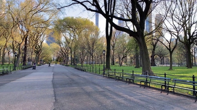 曼哈顿中央公园的空地视频素材