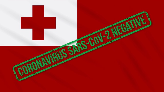 汤加飘扬的旗帜上印有摆脱冠状病毒的绿色印记，循环视频下载